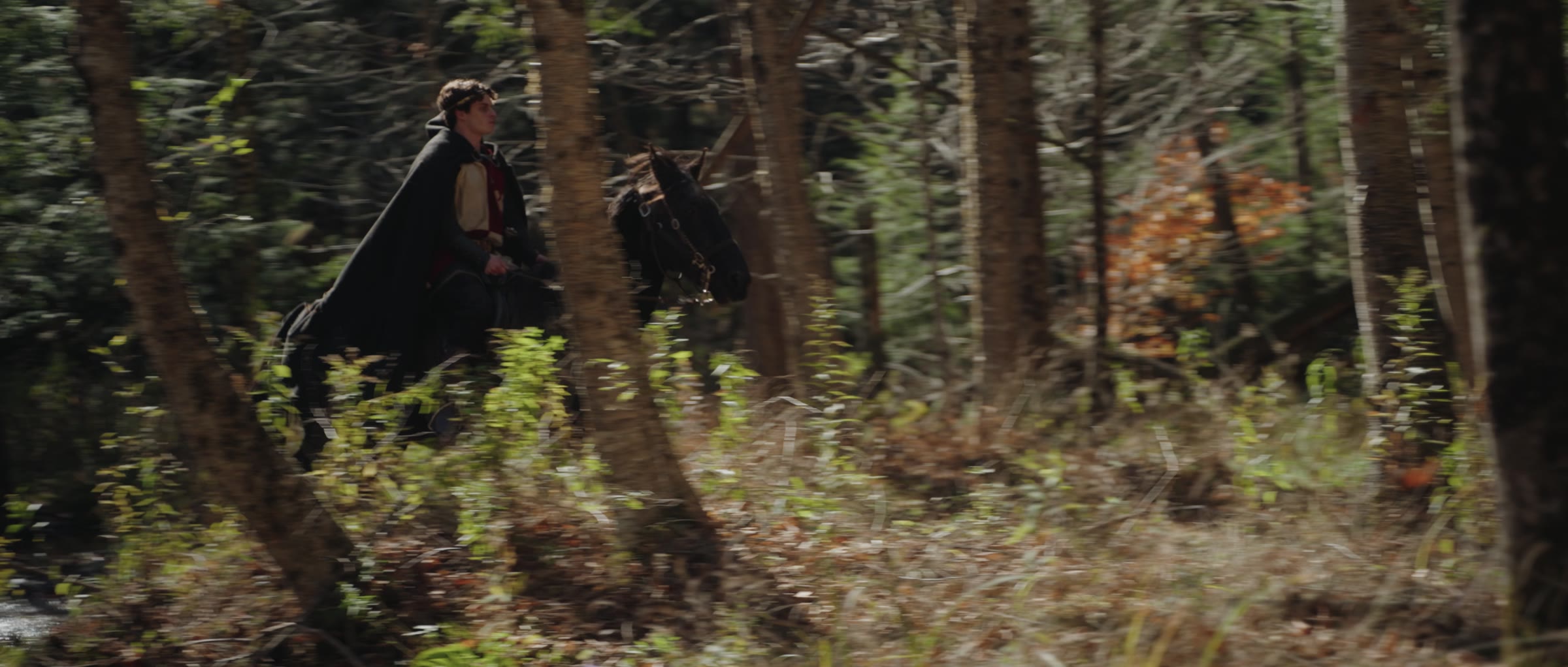 A rider in a dark cloak on horseback in the forest